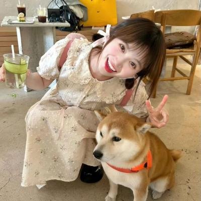 从未放弃的爱
